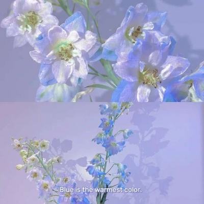 大发黄金版app下载app下载