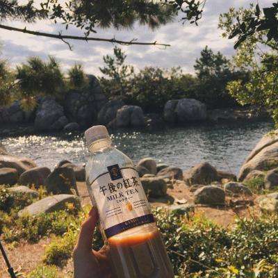 pg电子·模拟器(试玩游戏)app下载