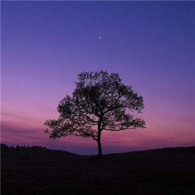 leyu·乐鱼app下载