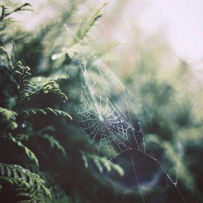 上海麻将下载手机版