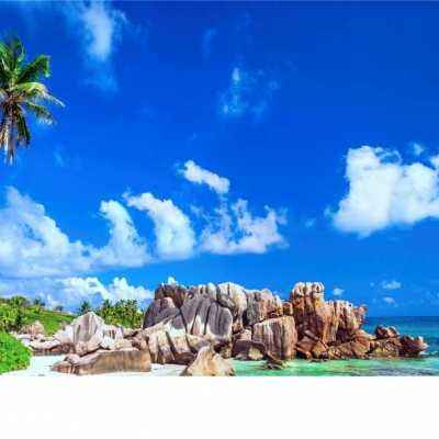 小罗代言米乐体育app手机app下载