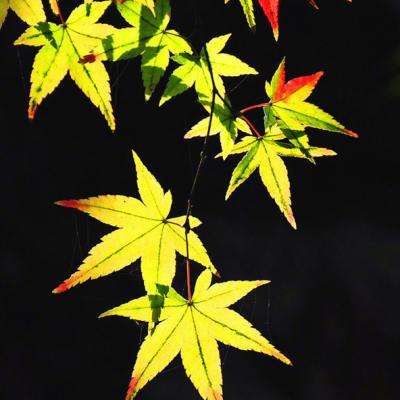 1788网投手机app下载