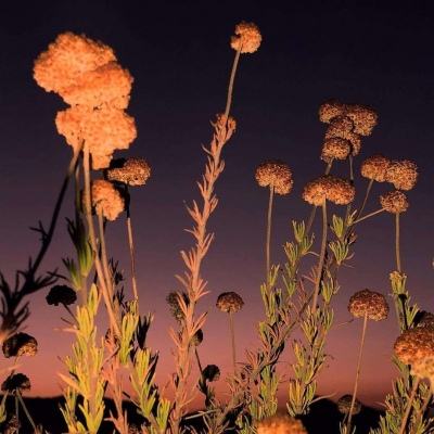 pg娱乐电子游戏手机app下载